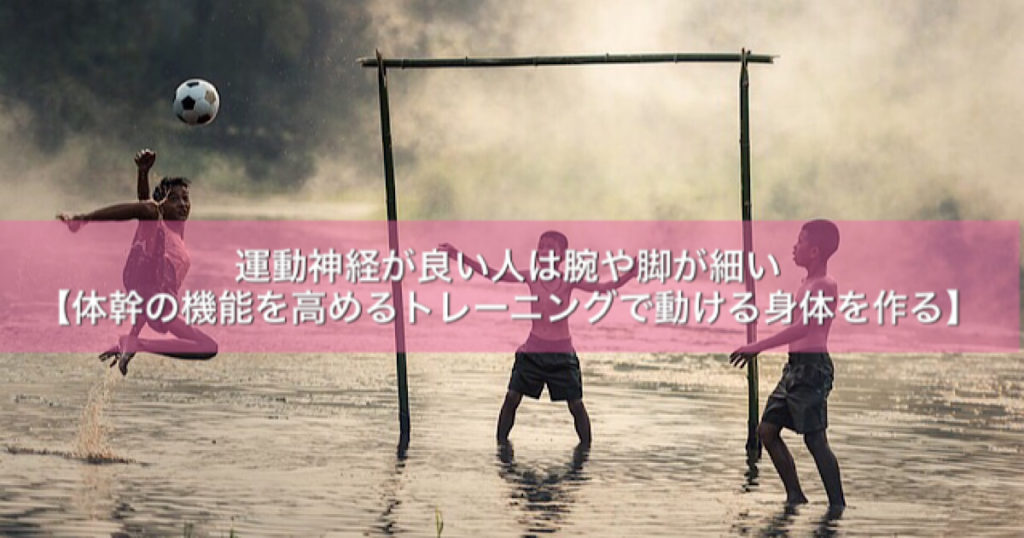 運動神経が良い人は腕や脚が細い 体幹の機能を高めるトレーニングで動ける身体を作る セルフケアラボ 柴雅仁blog