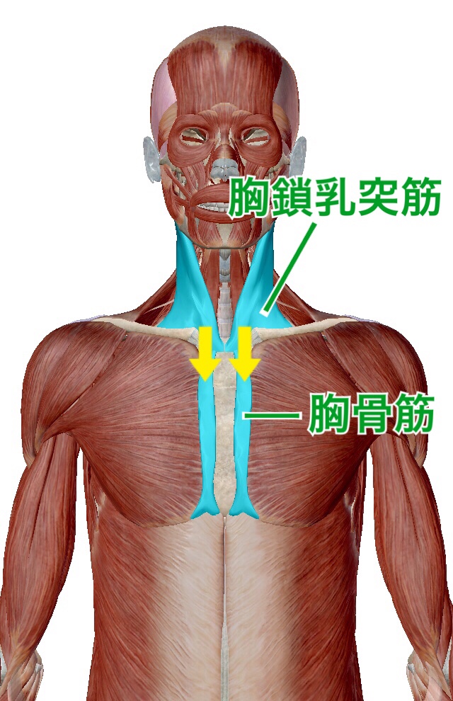 寝違え 胸 が 痛い