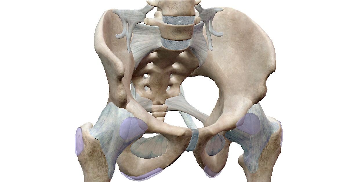 骨盤が開くとどうなるの 自力で骨盤を矯正する４つの方法 セルフケアラボ 柴雅仁blog
