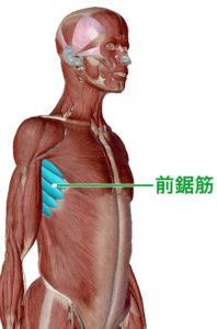 痛 脇の下 筋肉 肩こりの原因は胸と脇の下にあり！10秒押して痛みを解消