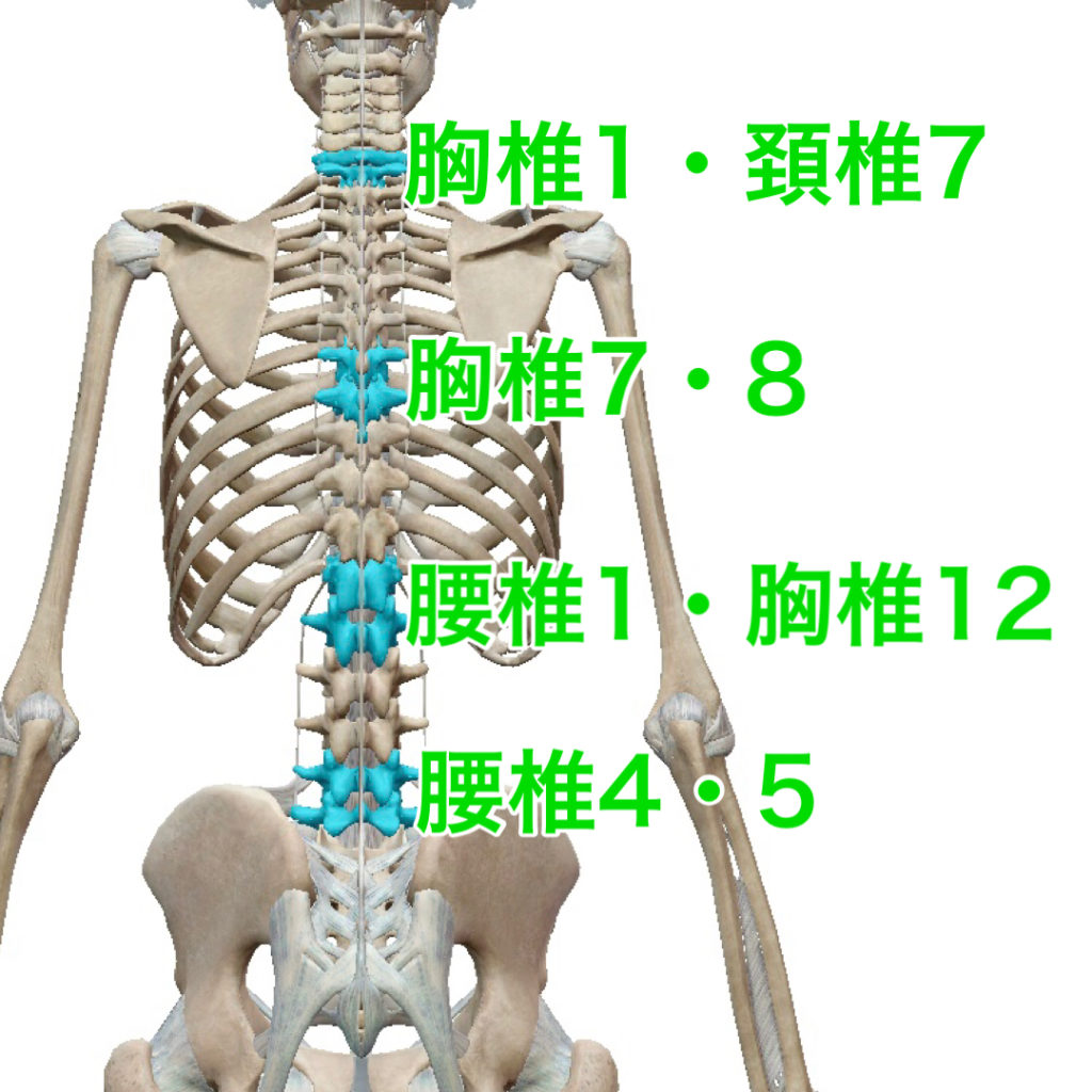 背骨 5番目 | 腰椎5番の場所はどこ – NSTIXA
